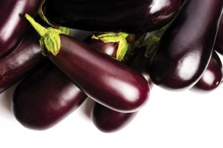 Heat-Tolerant Eggplant Trials Image